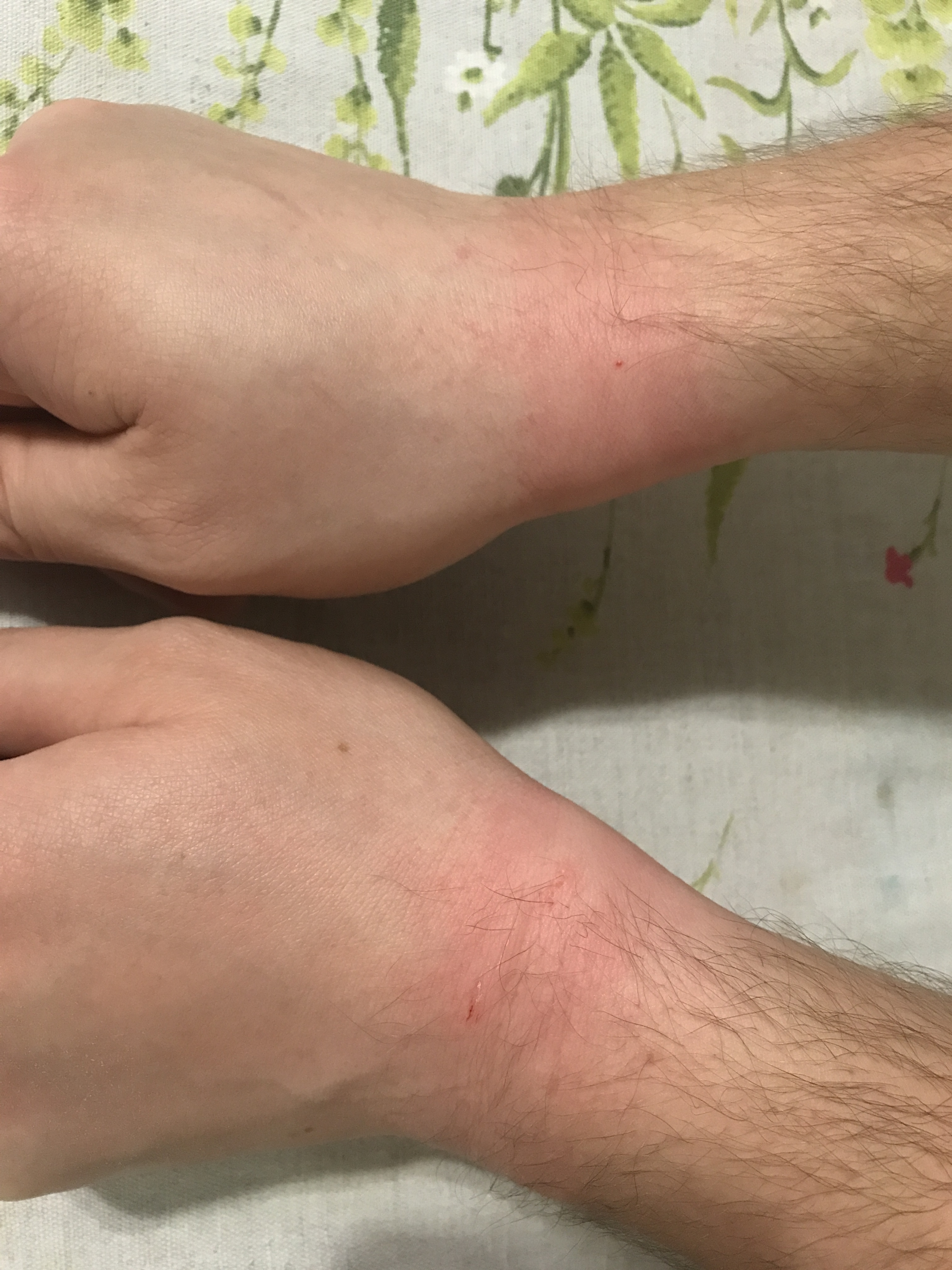 Последствия акций протеста из-за заключения Навального. Хроника, часть 2 | ОВД-Инфо