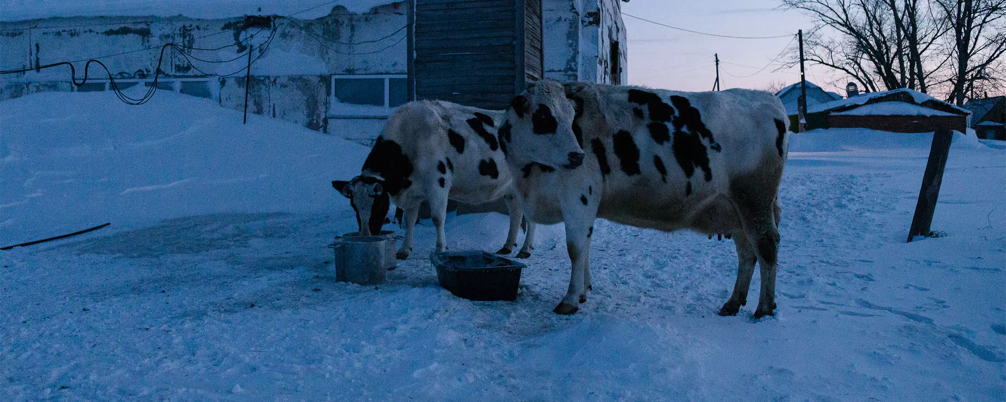 Ukrainians fighting for Russia vs dissident couple: a trip to Siberia’s invisible village | OVD-Info