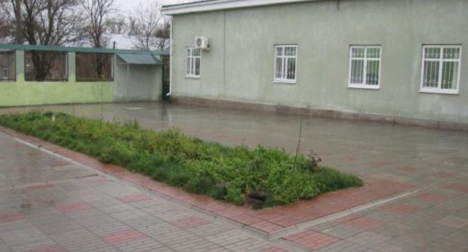 Дело Максима Соколова