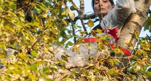 The case of environmental activist Olga Kuzmina, who protested with a crossbow in a tree against a construction project