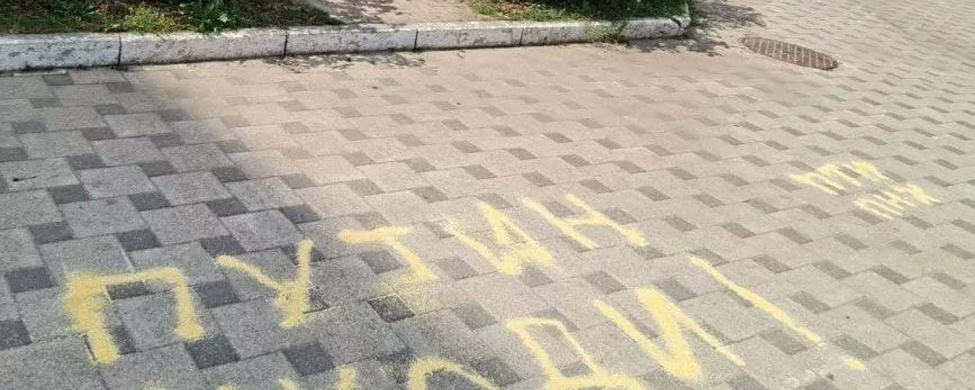 На активиста из Воронежа составили протокол по «митинговой» статье за надпись пшеном