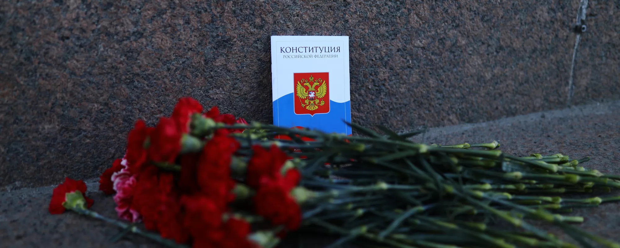Одиночные пикеты против изменения Конституции в Петербурге и Москве. Онлайн