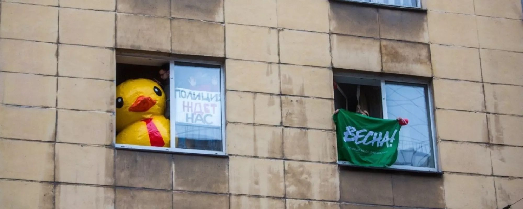 В Петербурге активиста «Весны» арестовали на 25 суток из-за перформанса с уточкой