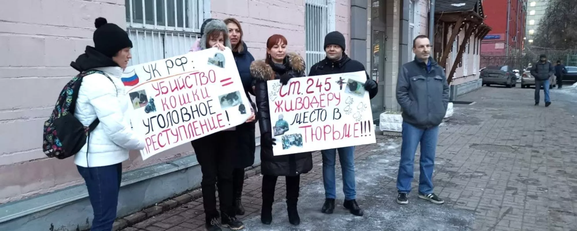 В Москве задержали зоозащитницу у суда, где огласили приговор по делу об убийстве кошек
