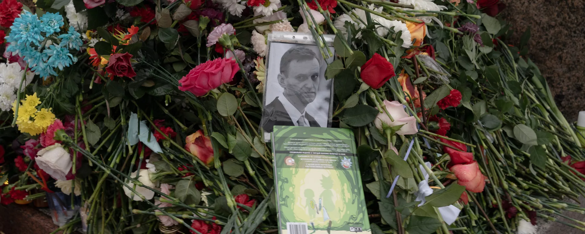 Navalny vigils crackdown | OVD-Info