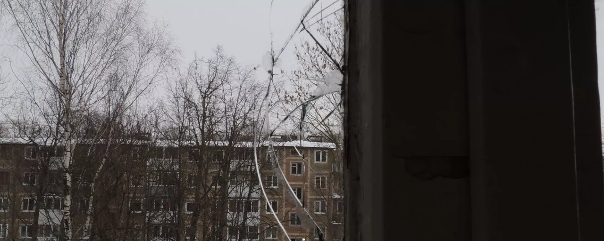 Активистка штаба Навального в Смоленске рассказала, что ей стреляли в окно