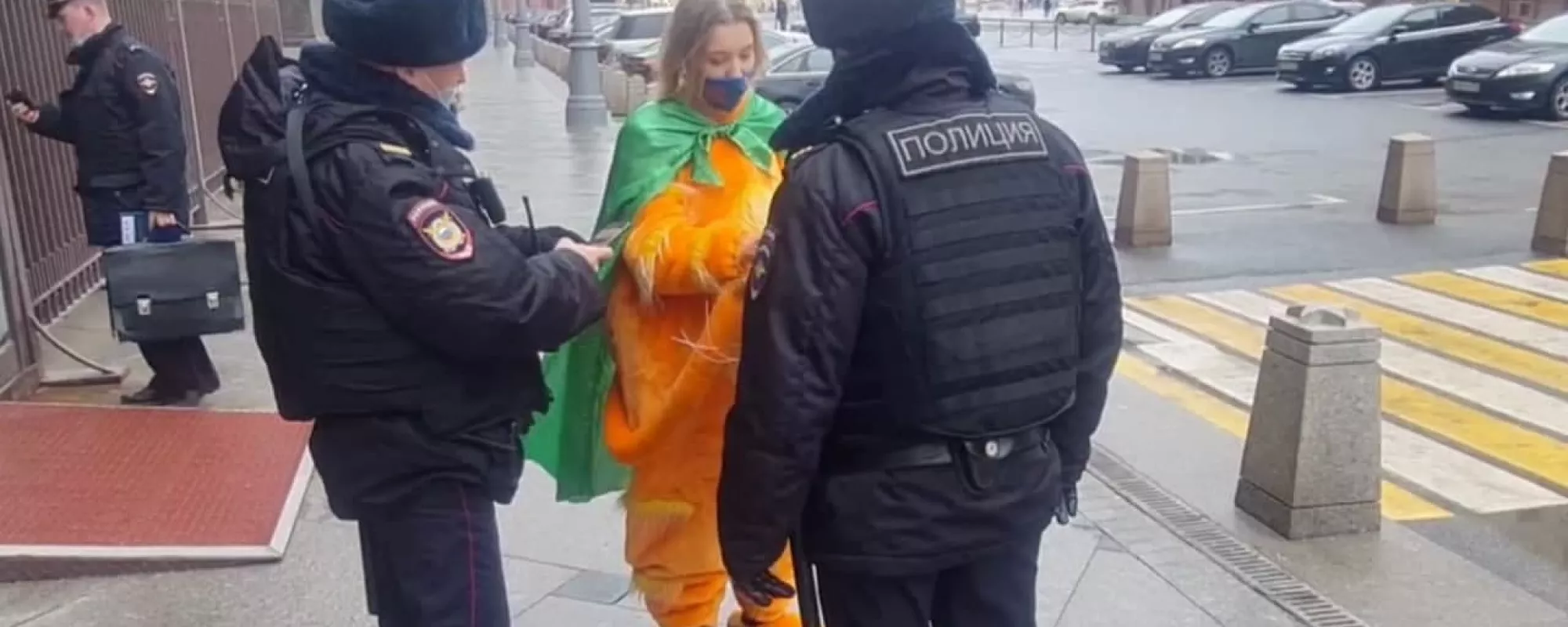 Возле Госдумы задержали участницу партии «Зеленая альтернатива» во время акции в костюме кота