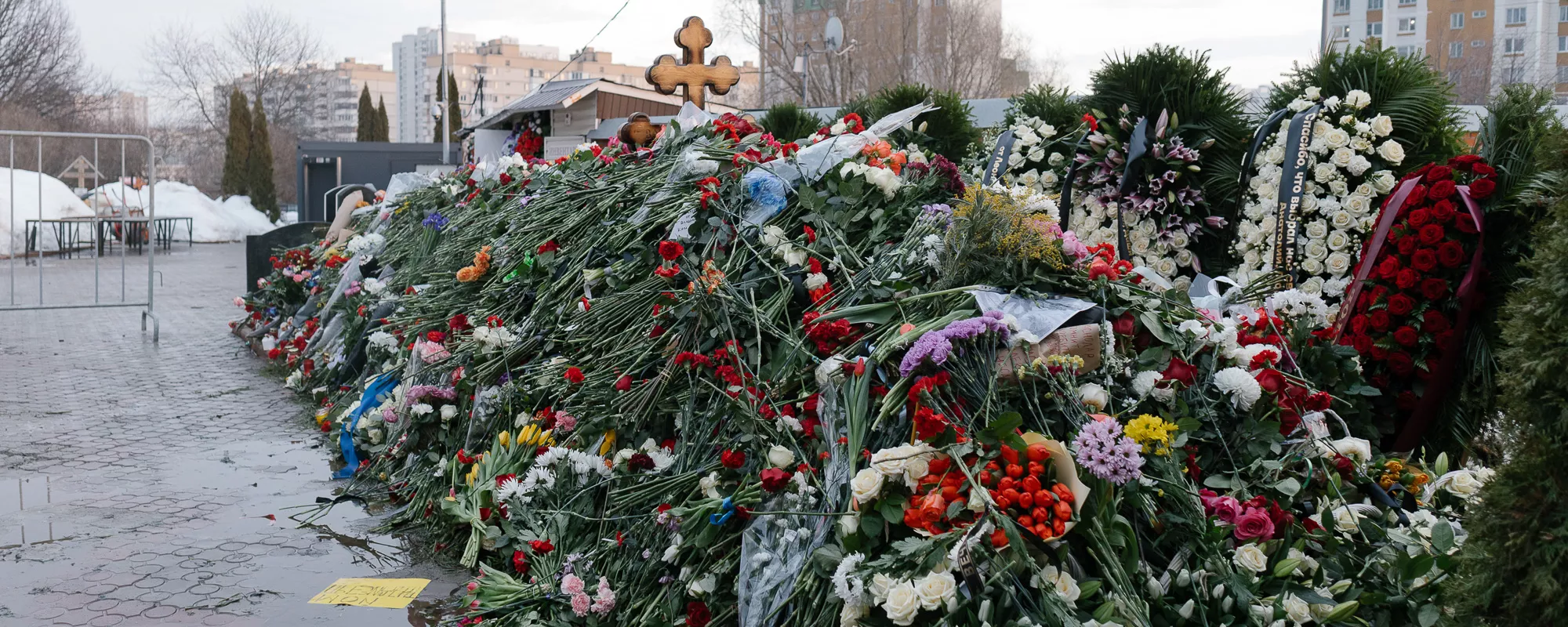 «Настоящая Россия — здесь, в этой очереди. Она другая». Что говорят люди у могилы Навального