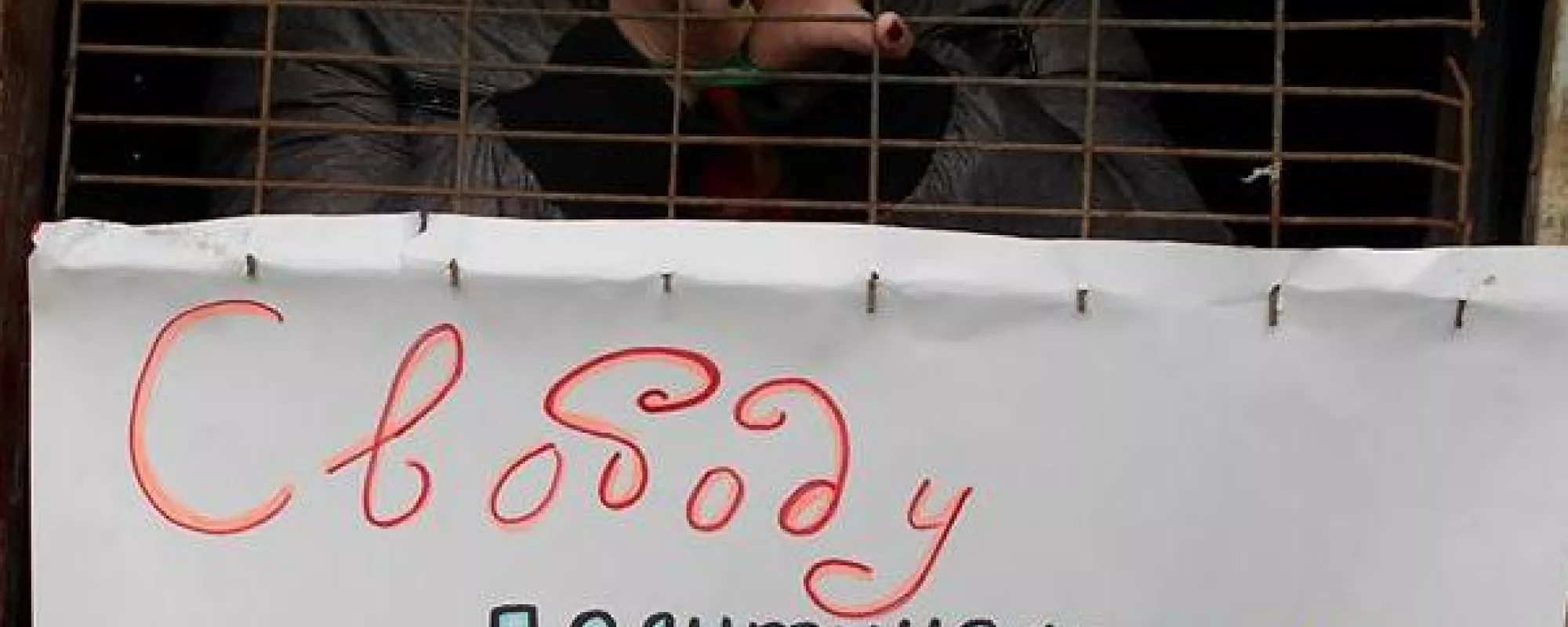 Дело Дарьи Полюдовой. Предварительные слушания