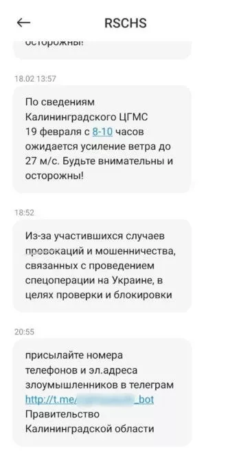Скриншот сообщения переданный жителем Калининграда в «Новую газету»