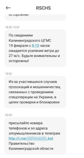 Скриншот сообщения переданный жителем Калининграда в «Новую газету»