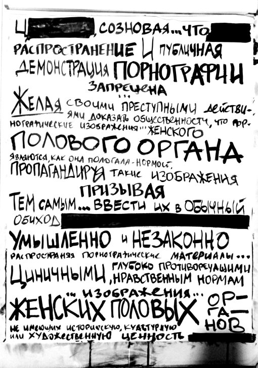 Выдержки из обвинения / Телеграм-канал Я/Мы Юлия Цветкова