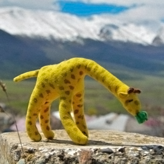 Giraffe Giraffoff / Picture taken from Giraffe Giraffoff’s social media account