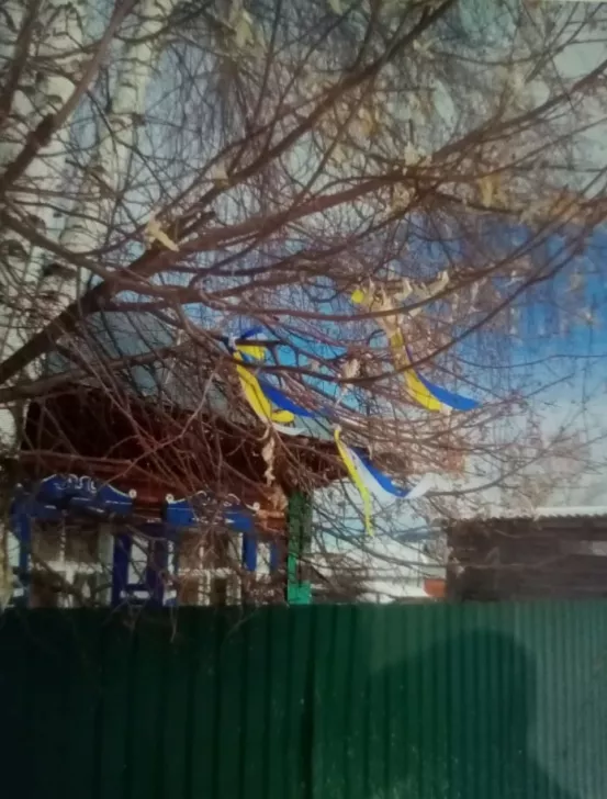 Ленточки в цветах украинского флага в саду Елены Унучаковой, Республика Алтай / Фото: Baza
