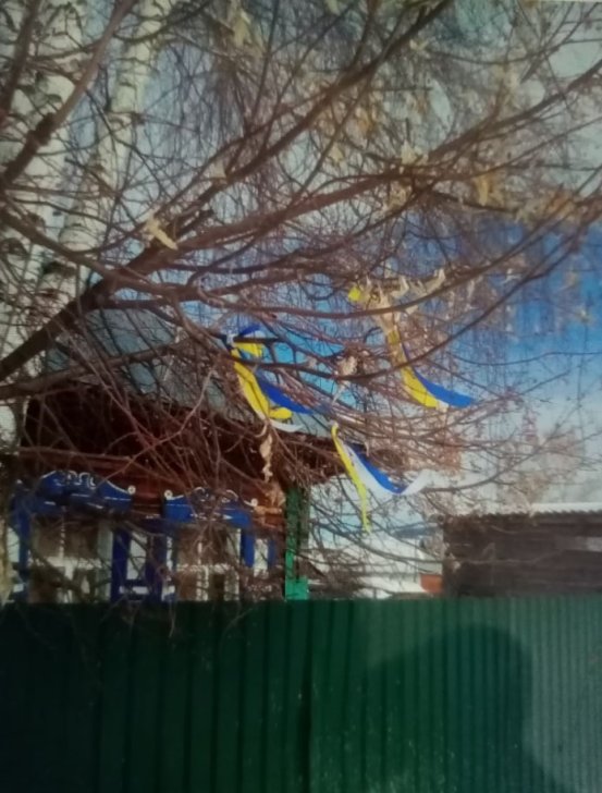 Ленточки в цветах украинского флага в саду Елены Унучаковой, Республика Алтай / Фото: Baza