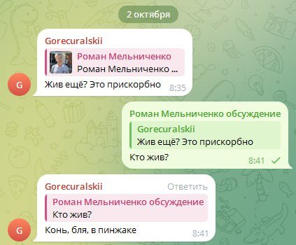 Скриншот сообщений, приходящих Мельниченко / Личные соцсети Мельниченко