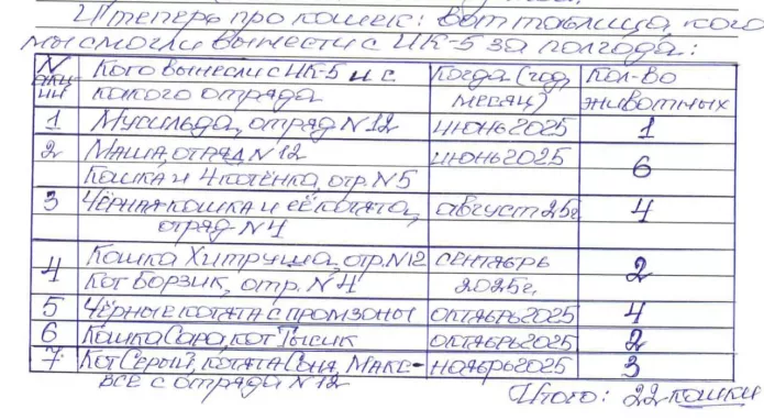 Таблица с именами спасенных кошек / Фото: ОВД-Инфо