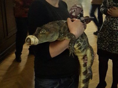 Превышение на Поляне