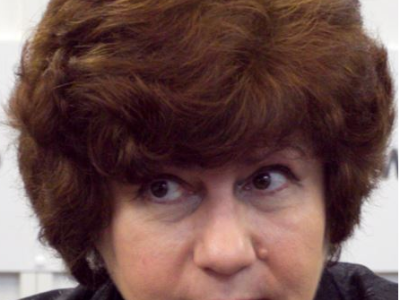 Выдержка из прений в деле Удальцова и Развозжаева