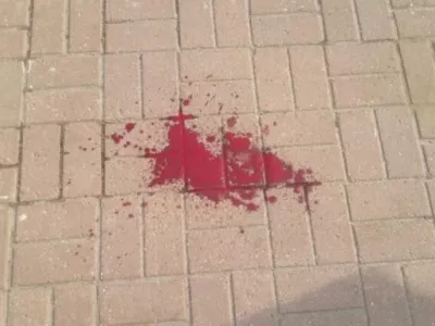  Совместное заявление в связи с преступлениями в отношении наблюдателей на выборах 