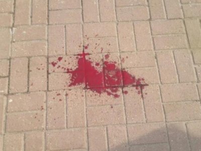 Совместное заявление в связи с преступлениями в отношении наблюдателей на выборах
