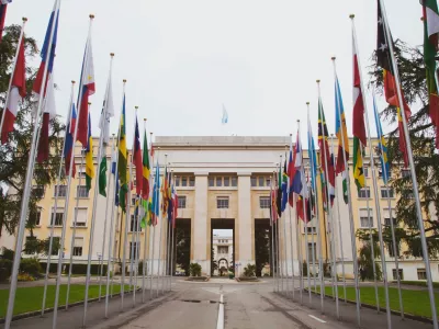  Urgent Need to Reinforce the UN Treaty Bodies 