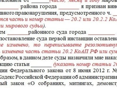 Опубликован типовой документ для обжалования штрафов за участие в митингах