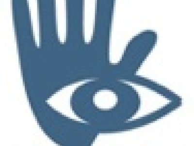 Отчет ОГОН о Марше миллионов
