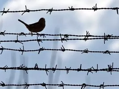  Начат сбор подписей за проект широкой амнистии 