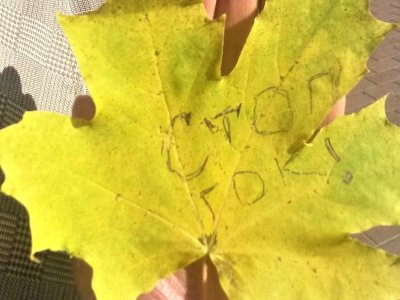 Уголовно-обогатительное: картина конфликта между властями Челябинской области и экологами