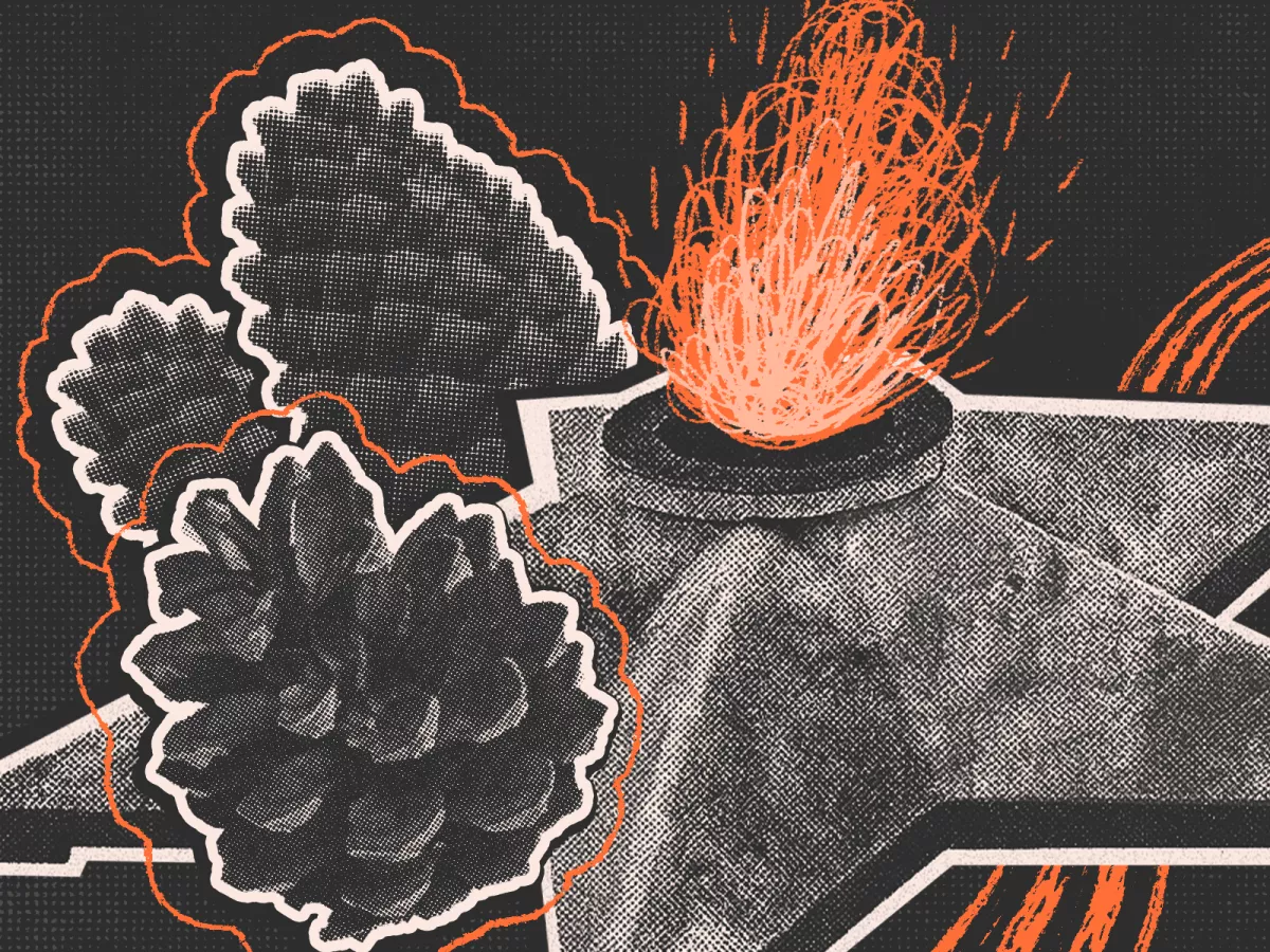 Отрицание Холокоста, готовка на Вечном огне и коллаж с георгиевской лентой. Что в России считается «реабилитацией нацизма» и как за это преследуют | ОВД-Инфо